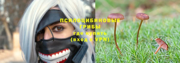 бутират Баксан
