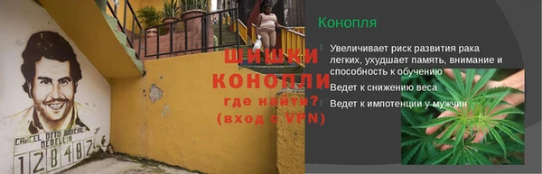 дурь Арсеньев