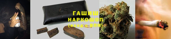 каннабис Новозыбков