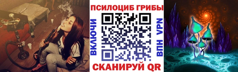 Псилоцибиновые грибы Psilocybine cubensis  Купить закладки  Сусуман 